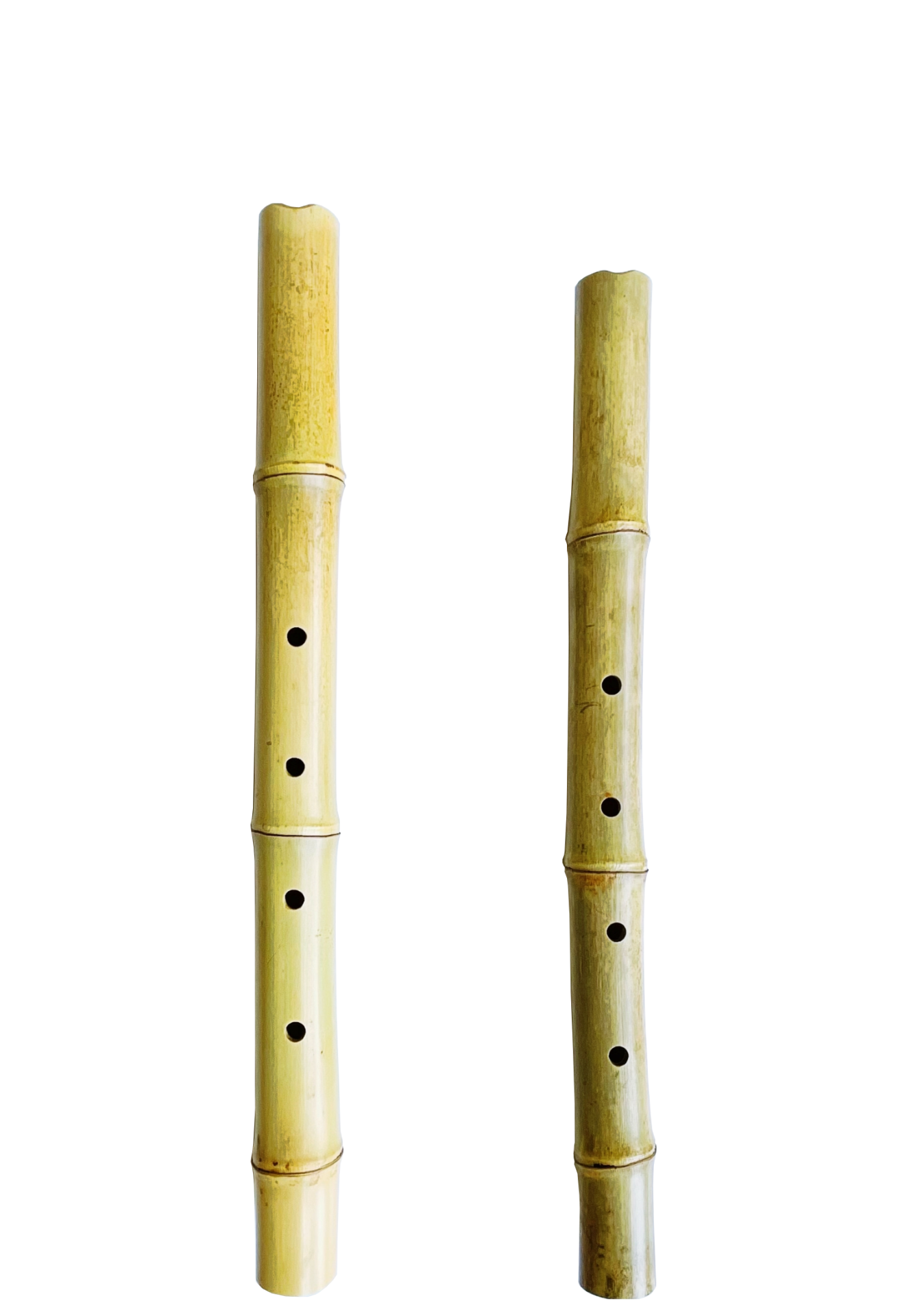 Família do shakuhachi